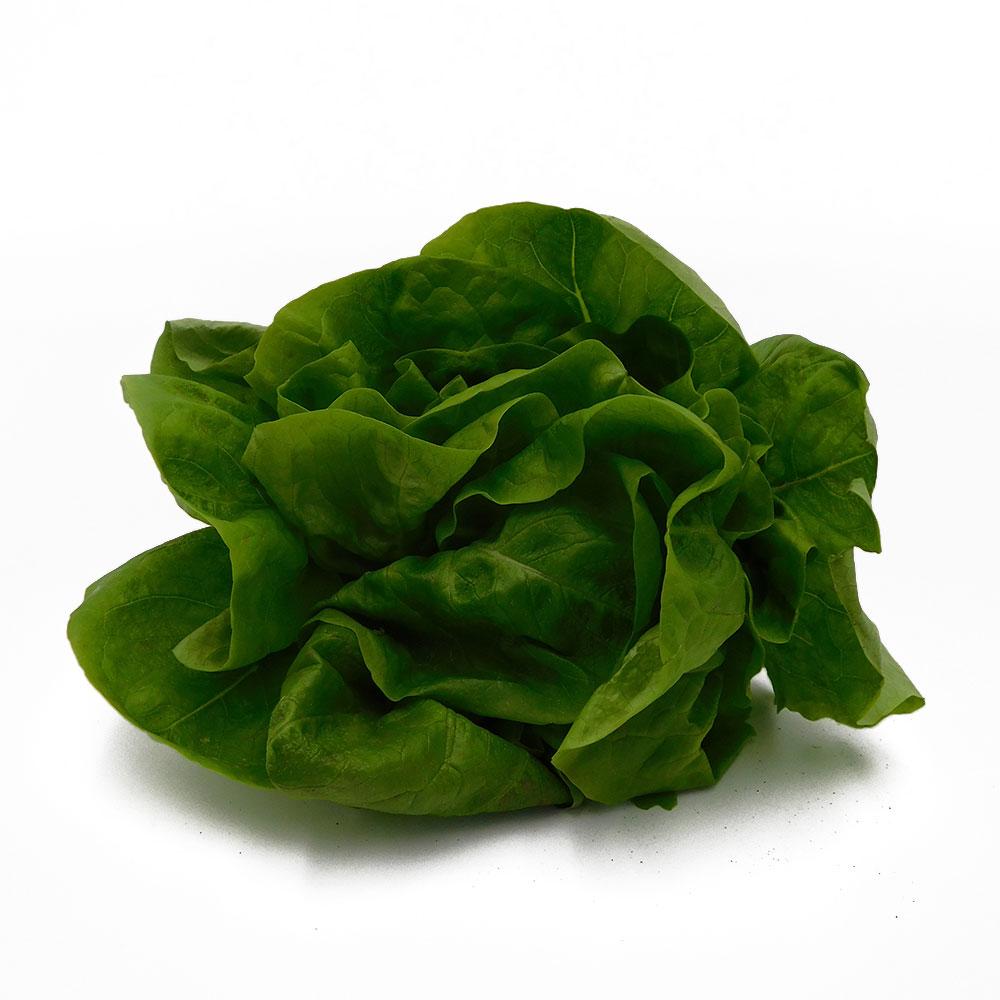 Lettuce